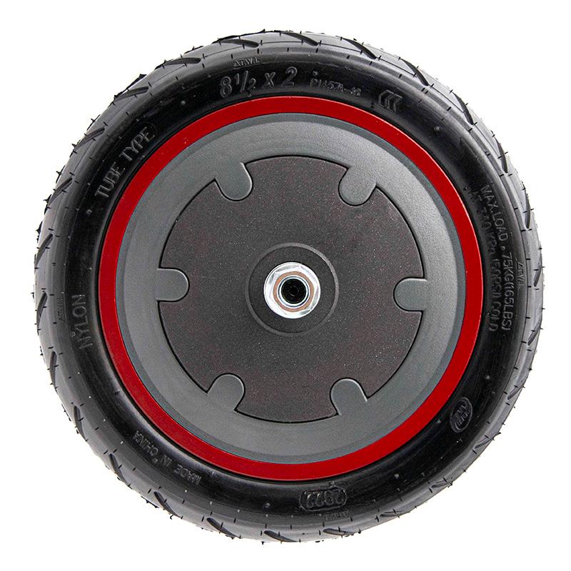 Miniatura 2